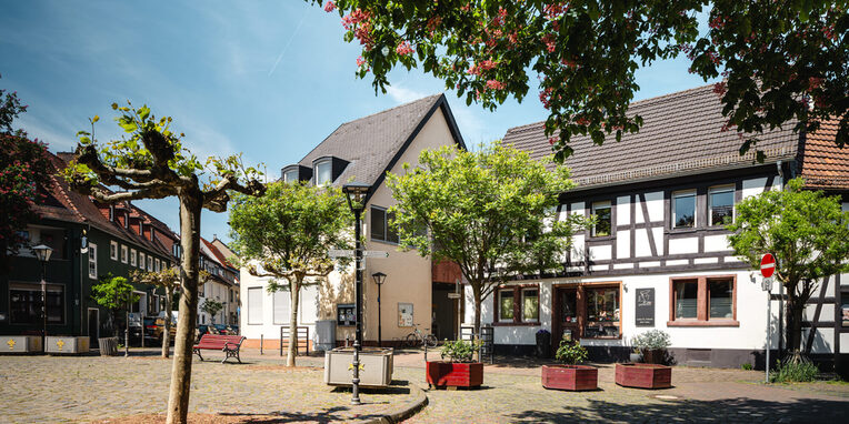 Auschnitt des Marktplatzes in Neu-Isenburg mit blauem Himmel, Baumbestand, Blumenkübel und Wohn-und Fachwerkhäuser im Hintergrund