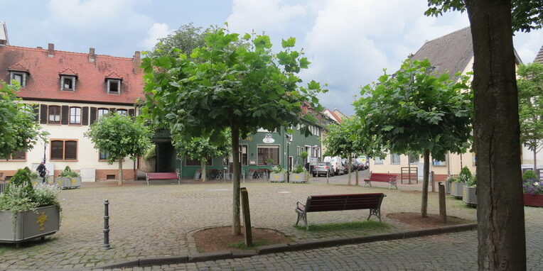 Ansicht Markt im Alten Ort und Sitzmöglich und Baumbestand