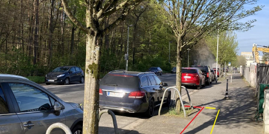 Bäume in der Rathenausstraße